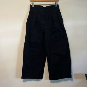 Aritzia the group l Babaton wide legged pants with pleats